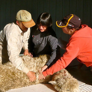 New Alpaca Owner Support at Pinjarra