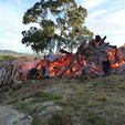 Bonfire at Pinjarra Alpacas Farm - Pinjarra Alpacas For Sale